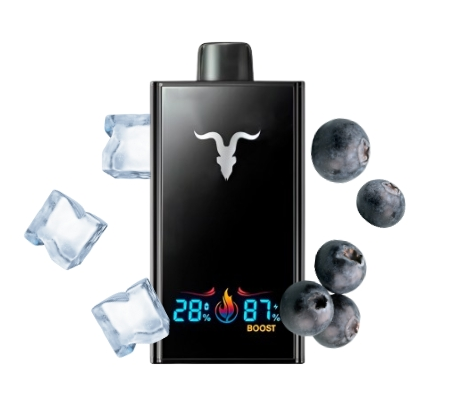 INGNITE V300