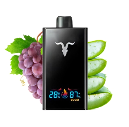 INGNITE V300