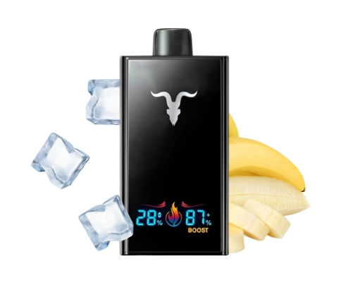 INGNITE V300