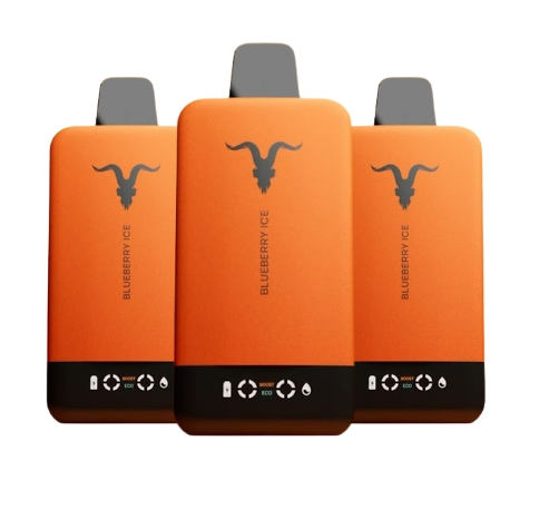 IGNITE V155