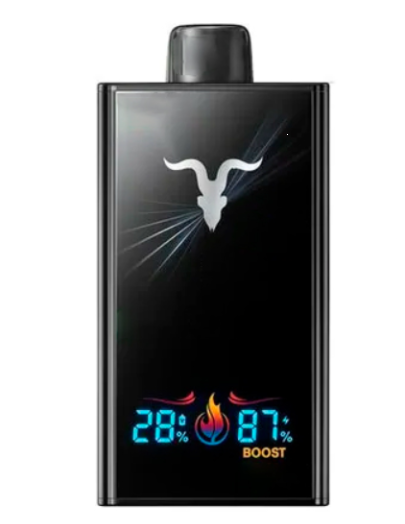 INGNITE V300